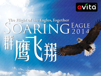 Soaring Eagles 2014